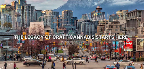 #150: Why We Cut 300 Products (and Why You’ll Thank Us for It)