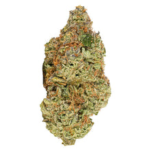 Load image into Gallery viewer, Viola Al '96