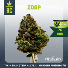 Charger l'image dans la galerie, Zoap