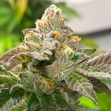 Load image into Gallery viewer, Vice's Cake