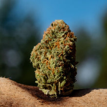 Charger l'image dans la galerie, Saltspring Love Haze