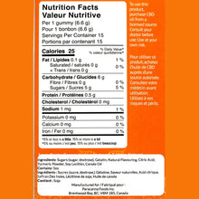 Load image into Gallery viewer, Gummy Candy Making Kit - Mega Mango