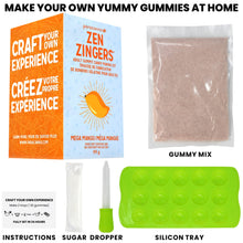 Load image into Gallery viewer, Gummy Candy Making Kit - Mega Mango