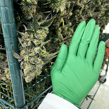 Charger l'image dans la galerie, Sunset Overdrive