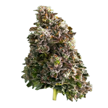 Load image into Gallery viewer, Bazookas