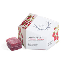 Load image into Gallery viewer, Real Fruit Raspberry Gummies