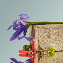 Charger l'image dans la galerie, MM 007 La Pasion 2:1 CBD:THC Apothecart