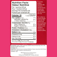 Load image into Gallery viewer, Gummy Candy Making Kit - Righteous Raspberry