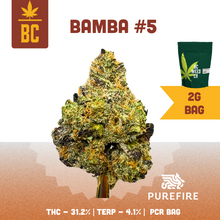 Load image into Gallery viewer, Bamba #5