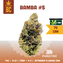 Load image into Gallery viewer, Bamba #5