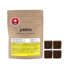 Charger l'image dans la galerie, Banana & Chocolate CBD Fruit Bites