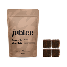 Charger l'image dans la galerie, Banana & Chocolate CBD Fruit Bites
