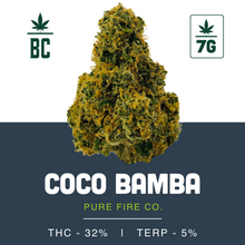 Load image into Gallery viewer, Coco Bamba