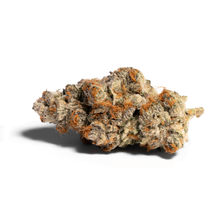 Load image into Gallery viewer, Gumi