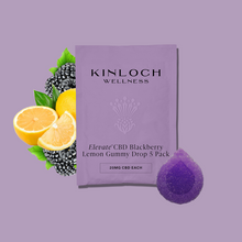 Load image into Gallery viewer, Elevate™- CBD Blackberry Lemon Gummy Drop