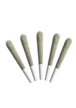 Load image into Gallery viewer, PLPK Pre-rolls