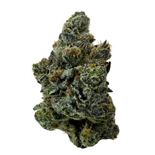 Load image into Gallery viewer, Forum Cut (GSC)