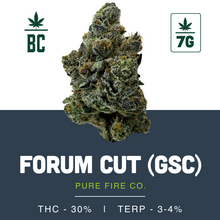 Load image into Gallery viewer, Forum Cut (GSC)