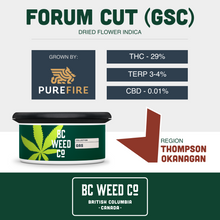 Load image into Gallery viewer, Forum Cut (GSC)