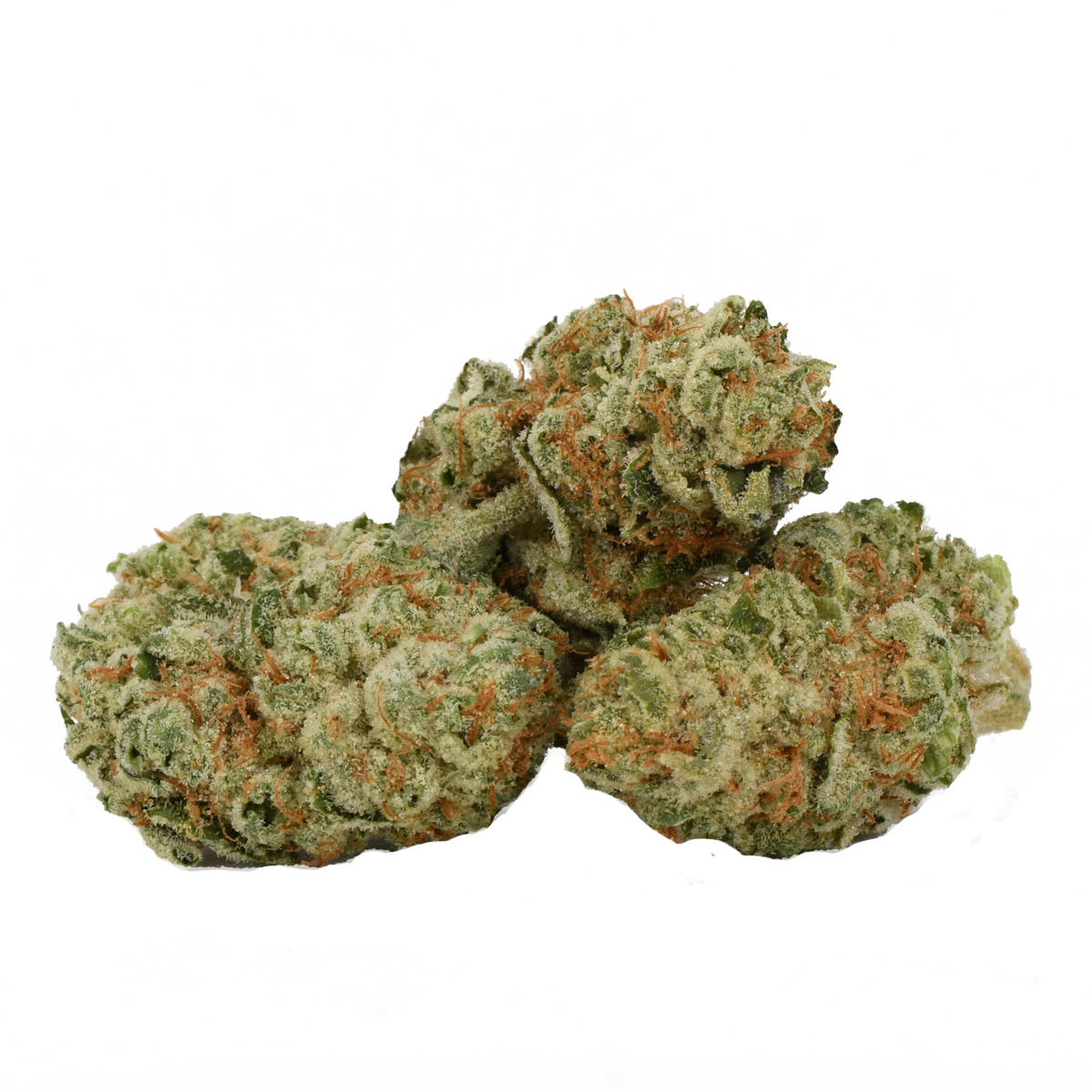 Middelburg Hybrid Herbal Dispatch middelburg-hybrid-herbal-dispatch