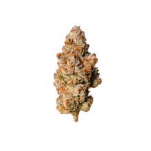 Load image into Gallery viewer, Gumi