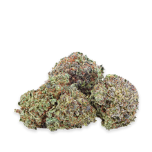 Load image into Gallery viewer, Rotterdam Indica