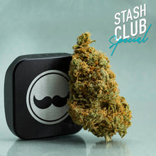 Load image into Gallery viewer, Stash Club Double Dream