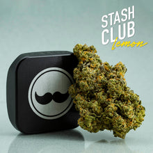 Load image into Gallery viewer, Stash Club Lemon