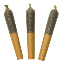 Charger l'image dans la galerie, Dab Bods Hawaiian Plusher 60's+ Dbl Infused Pre-Rolls