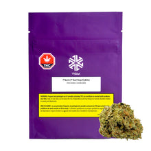 Load image into Gallery viewer, 1st Quarter