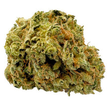 Load image into Gallery viewer, 1st Quarter