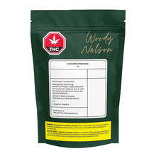 Load image into Gallery viewer, Glade Runner 28G Payloads