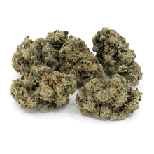 Load image into Gallery viewer, Glade Runner 28G Payloads