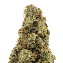 Load image into Gallery viewer, Animal Face