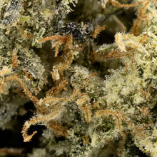 Load image into Gallery viewer, Animal Face