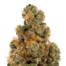 Charger l'image dans la galerie, Baby Yoduh