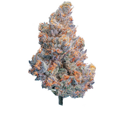 Load image into Gallery viewer, Blueberry Lemonade