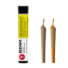 Load image into Gallery viewer, Tropical Trip x Lemon Stomper Jet Pack