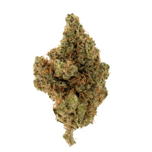 Load image into Gallery viewer, Tranquil Elephantizer