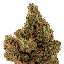 Load image into Gallery viewer, Tranquil Elephantizer