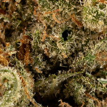 Load image into Gallery viewer, Tranquil Elephantizer