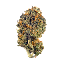 Load image into Gallery viewer, Grease Monkey