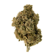 Load image into Gallery viewer, Hippie Headbanger