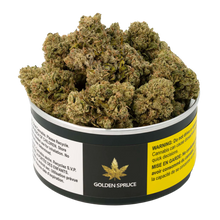 Load image into Gallery viewer, Hippie Headbanger