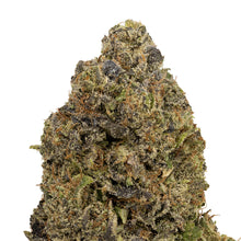 Load image into Gallery viewer, Nighttime Nirvana - Jelly Breath