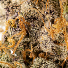 Load image into Gallery viewer, King Sherb