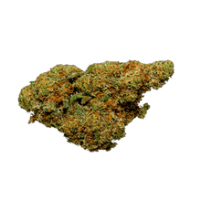 Charger l'image dans la galerie, LAB 101