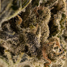 Load image into Gallery viewer, Lemon Sour Diesel