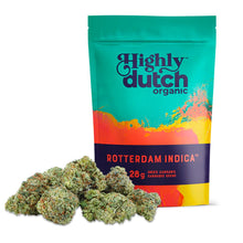 Load image into Gallery viewer, Rotterdam Indica