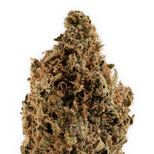 Load image into Gallery viewer, Sour Tangie